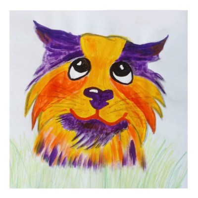 katze6